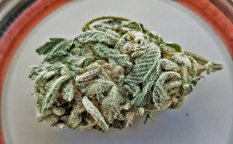 resina della marijuana legale