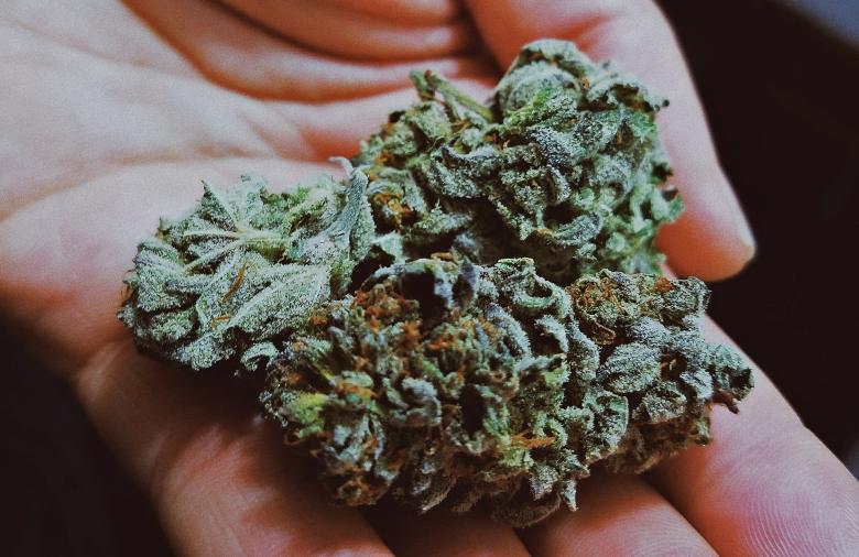 resina nella cannabis light