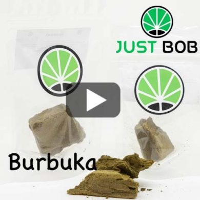 Burbuka-hashish-cbd-legale
