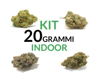 Kit 20 Indoor
