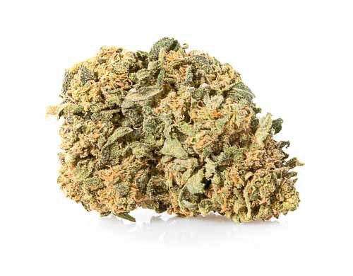 gorilla glue cannabis legale