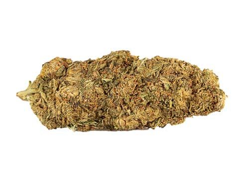 mango-haze-cannabis-light-marijuana-legale-cannabis-legale-italia