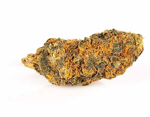 orange bud cannabis legale