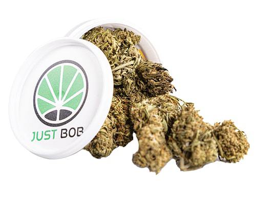 Melon Kush cannabis online