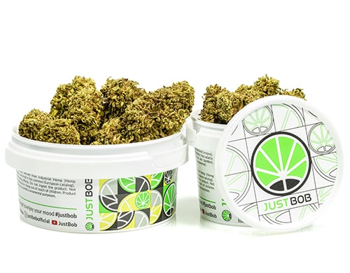 barattolo-cime-gorilla-glue-cannabis-light