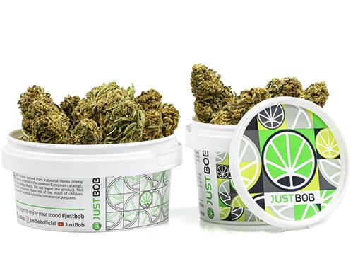 barattolo-cime-lemon-cheese-cannabis-light