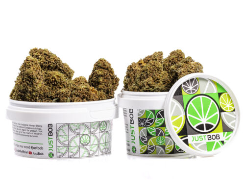 barattolo cime mango cbd boost cannabis light