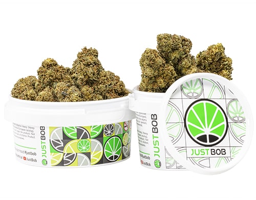 barattolo-cime-mango-cbd-boost-cannabis-light