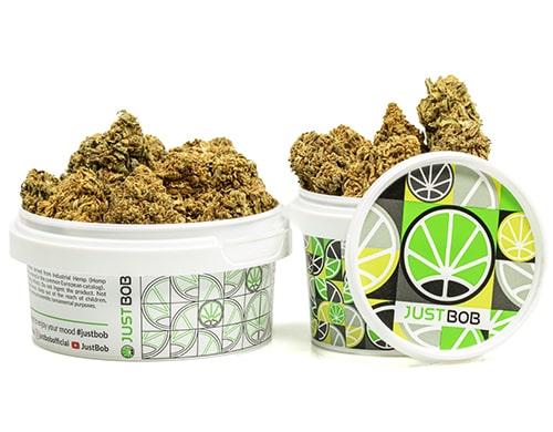 barattolo-cime-MASTER KUSH-cannabis-light