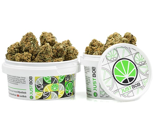 barattolo-cime-white-widow-cannabis-light