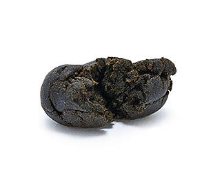 bourbouka-hashish bourbouka-hashish