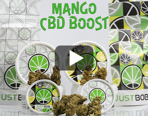 cannabis-legale-mango-cbd-boost