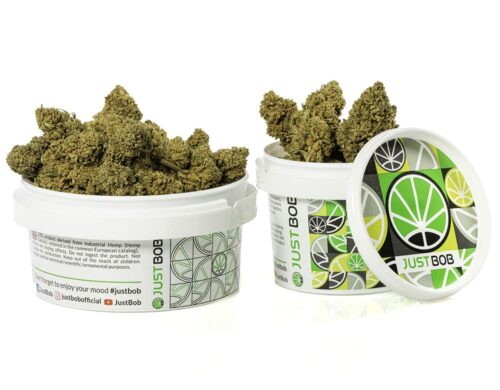 cannabis light white widow in contenitore sigillato per freschezza garantita