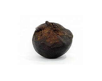 charas-hashish-indiano charas-hashish-indiano