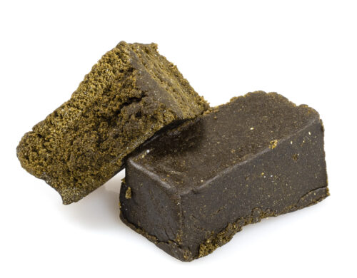 hashish-legale-charas