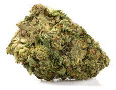 white widow cannabis light