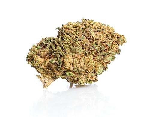 Cima di master kush di erba legale ad alto contenuto di CBD