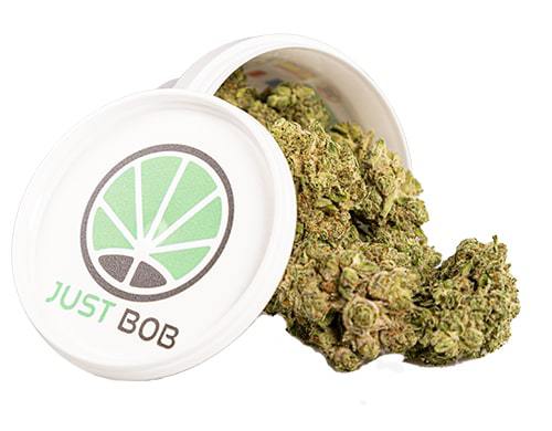 erba-legale-varietà-gorilla-glue