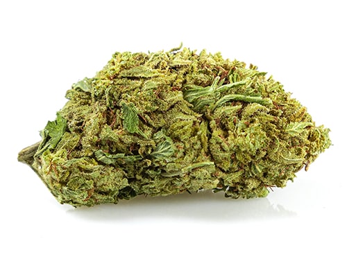 orange skunk cannabis legale