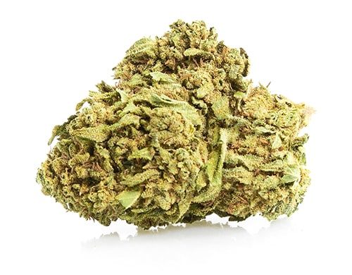 fiore di cannabis light white widow