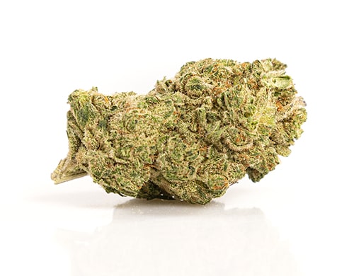 infiorescenza cannabis light gorilla glue