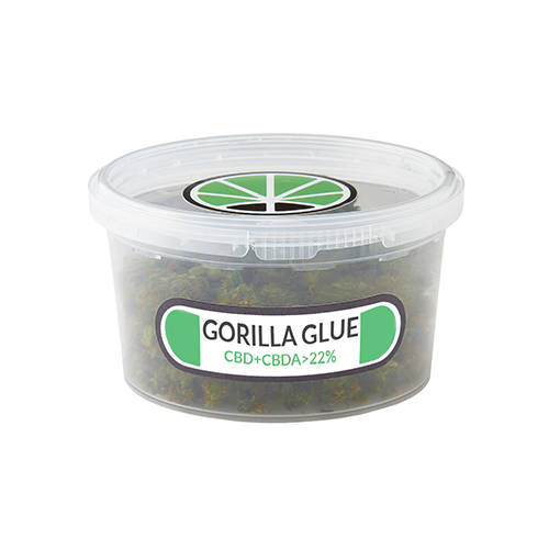 gorilla-glue-marijuana gorilla-glue-marijuana