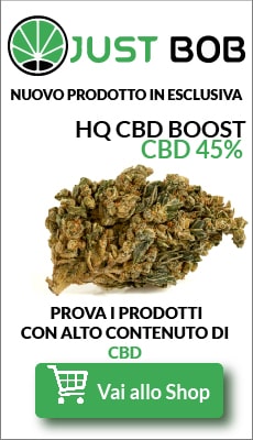 hq cbd boost erba legale