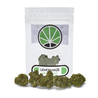 lemon-haze-cbd