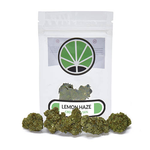 lemon-haze-cbd lemon-haze-cbd