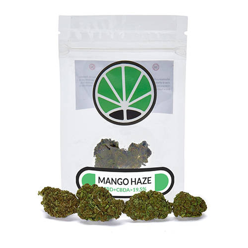 mango-cannabis mango-cannabis