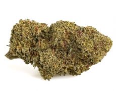mango-cbd-boost-cannabis-light