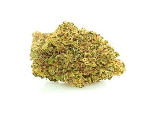 mango haze cannabis light italia