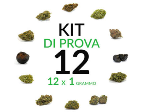 marijuana-kit-12-grammi-cannabis-light marijuana-kit-12-grammi-cannabis-light