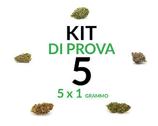 marijuana-kit-5 marijuana-kit-5