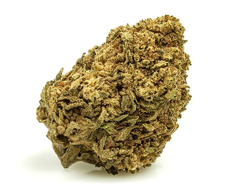 MASTER KUSH small cannabis light