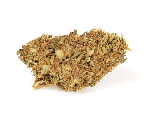 Master Kush Cannabis Light
