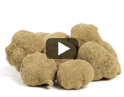 moonrock-erba-legale