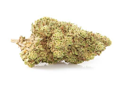 orange skunk cannabis legale