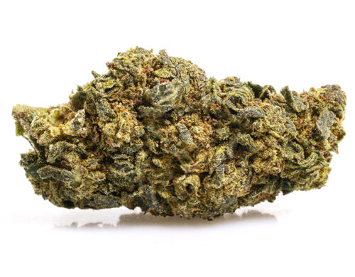 orange cbd boost cannabis light