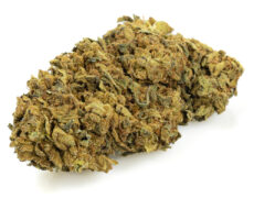 outdoor buds mix cannabis light