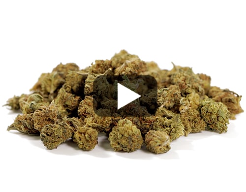 small-buds-mix-erba-legale