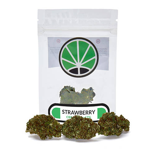 strawberry-marijuana strawberry-marijuana