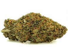 SWEET BERRY small cannabis light