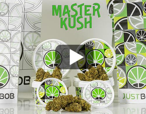 video-master-kush
