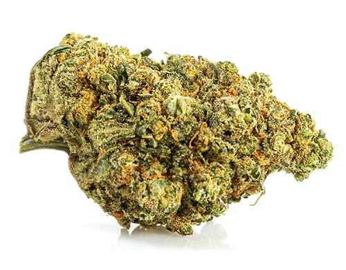 Cima di Bubblegum canapa light