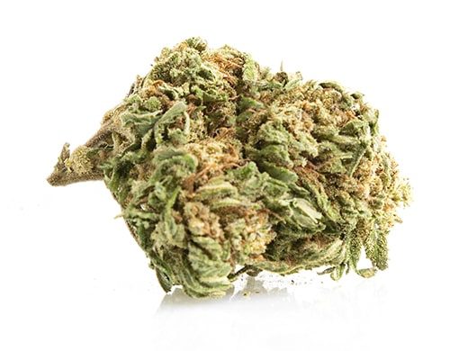 Cima di Bubblegum canapa light