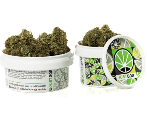 Fiori di Cannabis Light Sweet Berry in contenitore bianco