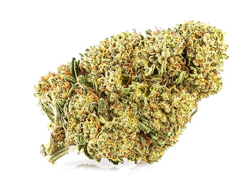 Sweet berry canapa legale