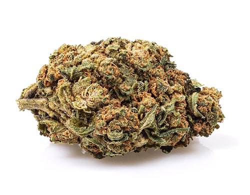 Sweet berry canapa legale