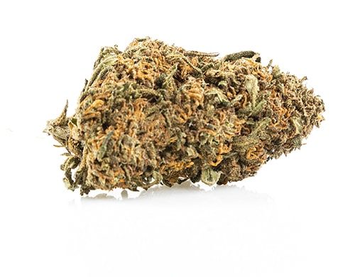 Sweet berry canapa legale